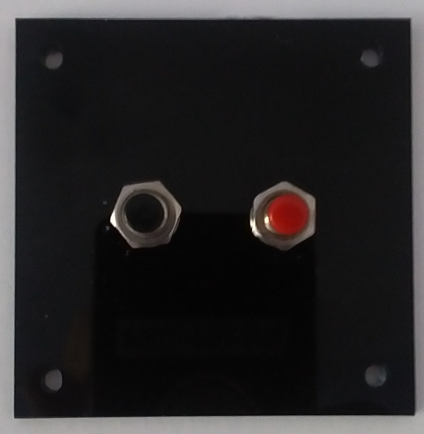 E10-1009
